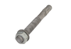 M20x200 HDG Trubolt